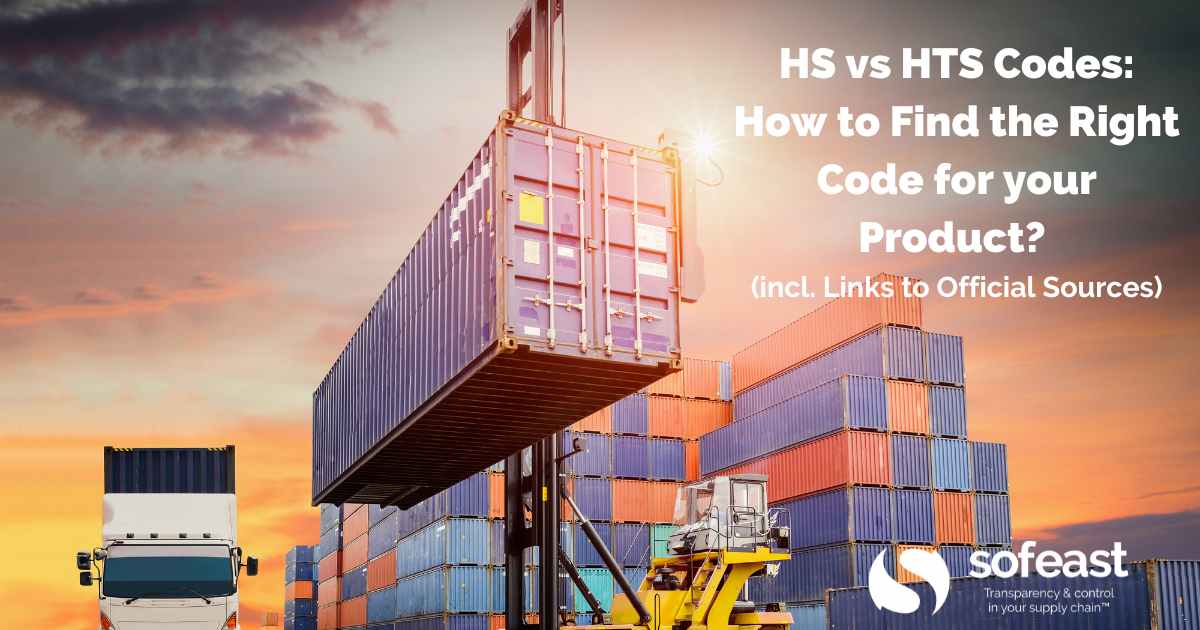 HS vs HTS Codes: How to Find the Right Code for your Product? (incl. Links to Official Sources)