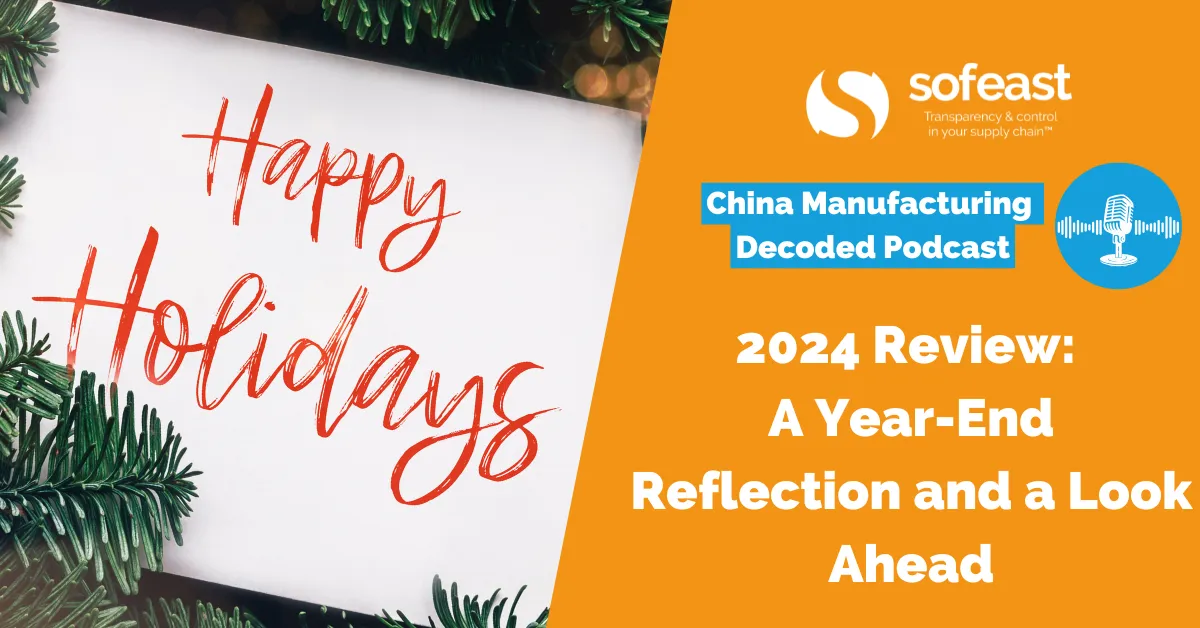 2024 Review: A Year-End Reflection and a Look Ahead [Bonus Podcast]