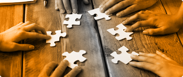 overview of the NPI process